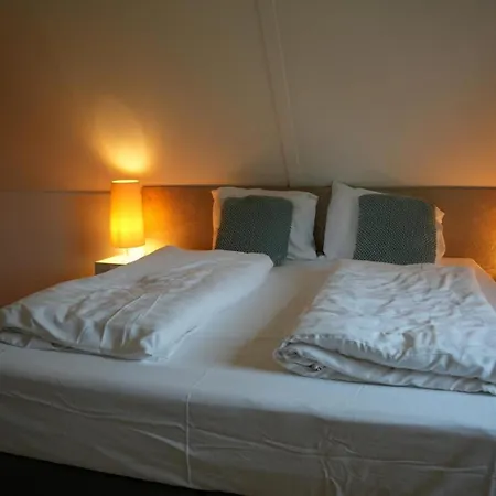 Holiday home De Appelbloesem 6-persoons Met Overdekte Hottub, Barrelsauna, Lounge, Wifi *