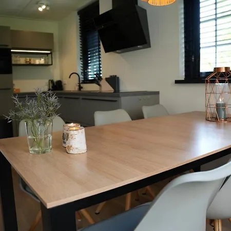 De Appelbloesem 6-persoons Met Overdekte Hottub, Barrelsauna, Lounge, Wifi