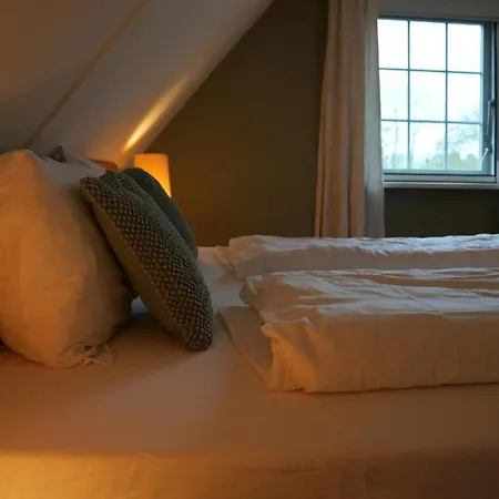 De Appelbloesem 6-persoons Met Overdekte Hottub, Barrelsauna, Lounge, Wifi Holiday home Lievelde