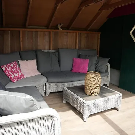 Holiday home De Appelbloesem 6-persoons Met Overdekte Hottub, Barrelsauna, Lounge, Wifi Lievelde