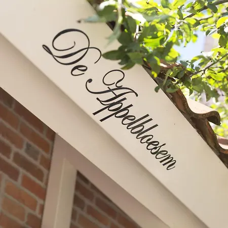 De Appelbloesem 6-persoons Met Overdekte Hottub, Barrelsauna, Lounge, Wifi * Lievelde