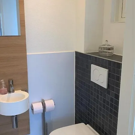 De Appelbloesem 6-persoons Met Overdekte Hottub, Barrelsauna, Lounge, Wifi Ferienhaus *