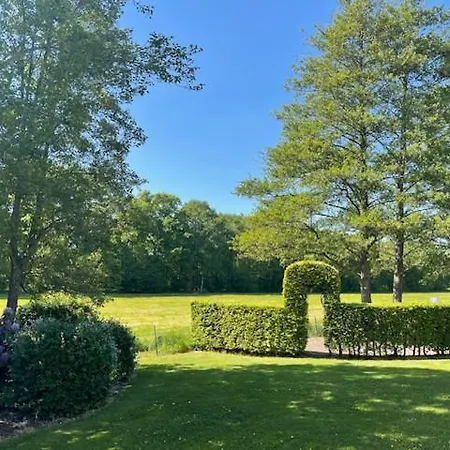De Appelbloesem 6-persoons Met Overdekte Hottub, Barrelsauna, Lounge, Wifi Holiday home