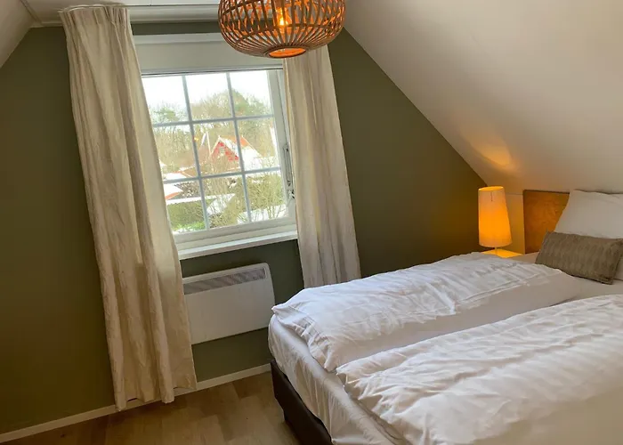 De Appelbloesem 6-persoons Met Overdekte Hottub, Barrelsauna, Lounge, Wifi