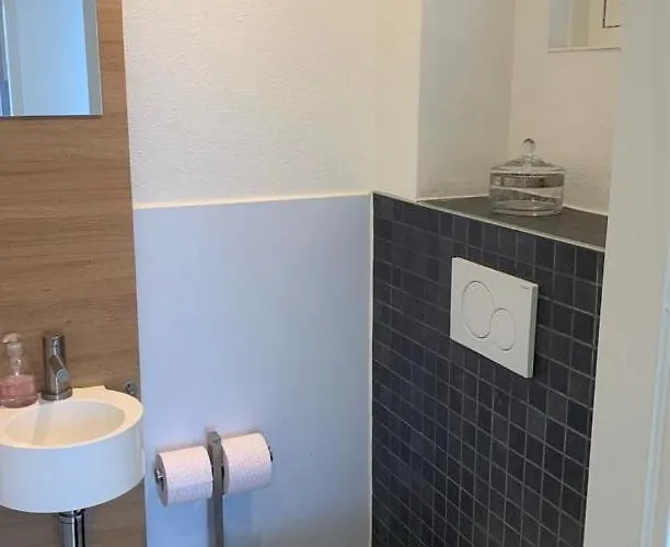 De Appelbloesem 6-persoons Met Overdekte Hottub, Barrelsauna, Lounge, Wifi Сasa de vacaciones *