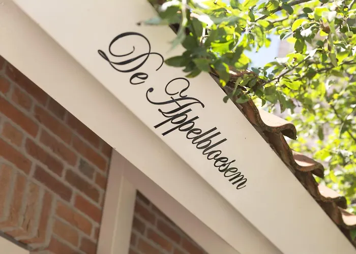 De Appelbloesem 6-persoons Met Overdekte Hottub, Barrelsauna, Lounge, Wifi * Lievelde